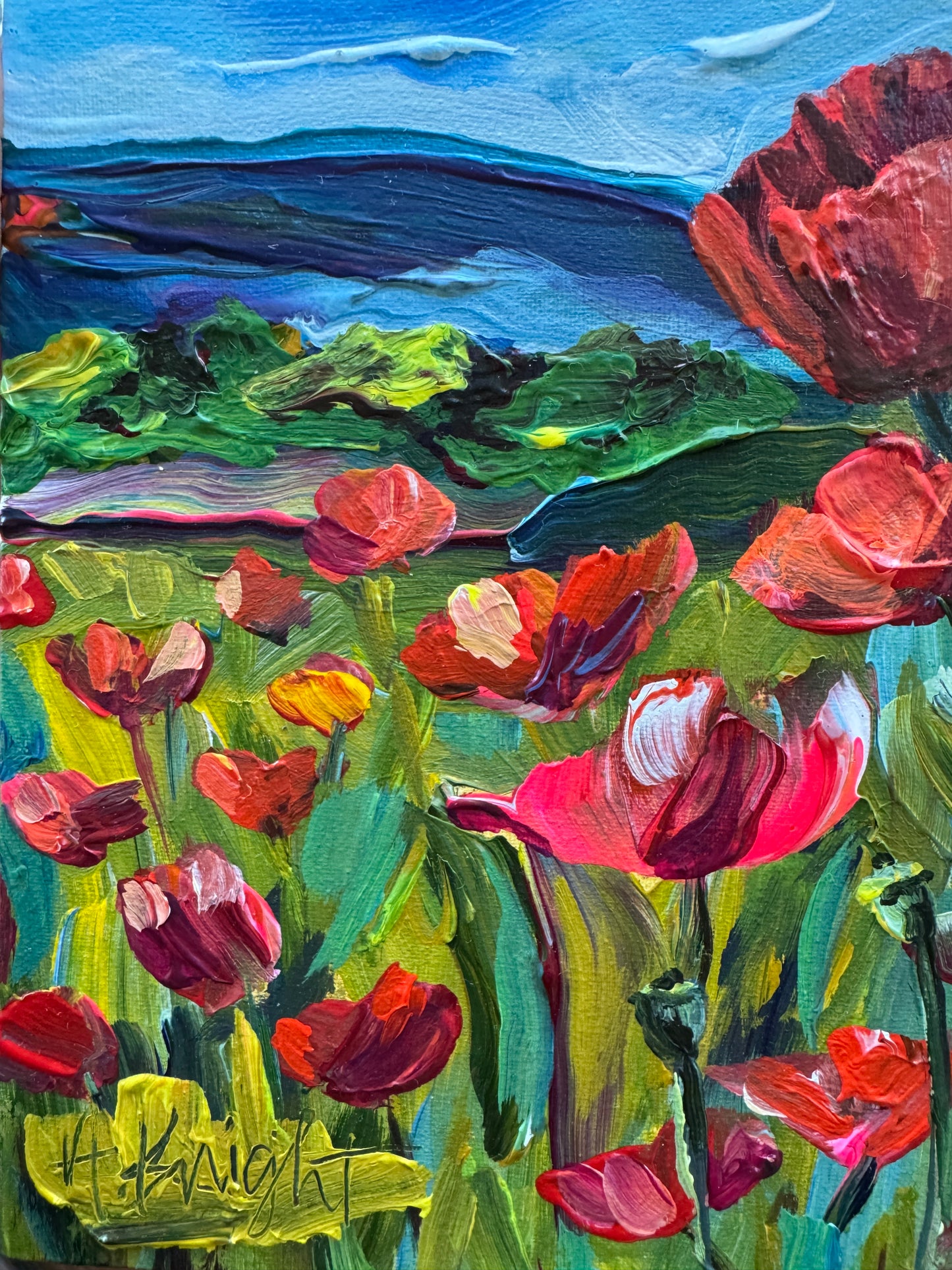 Blue Ridge Poppies