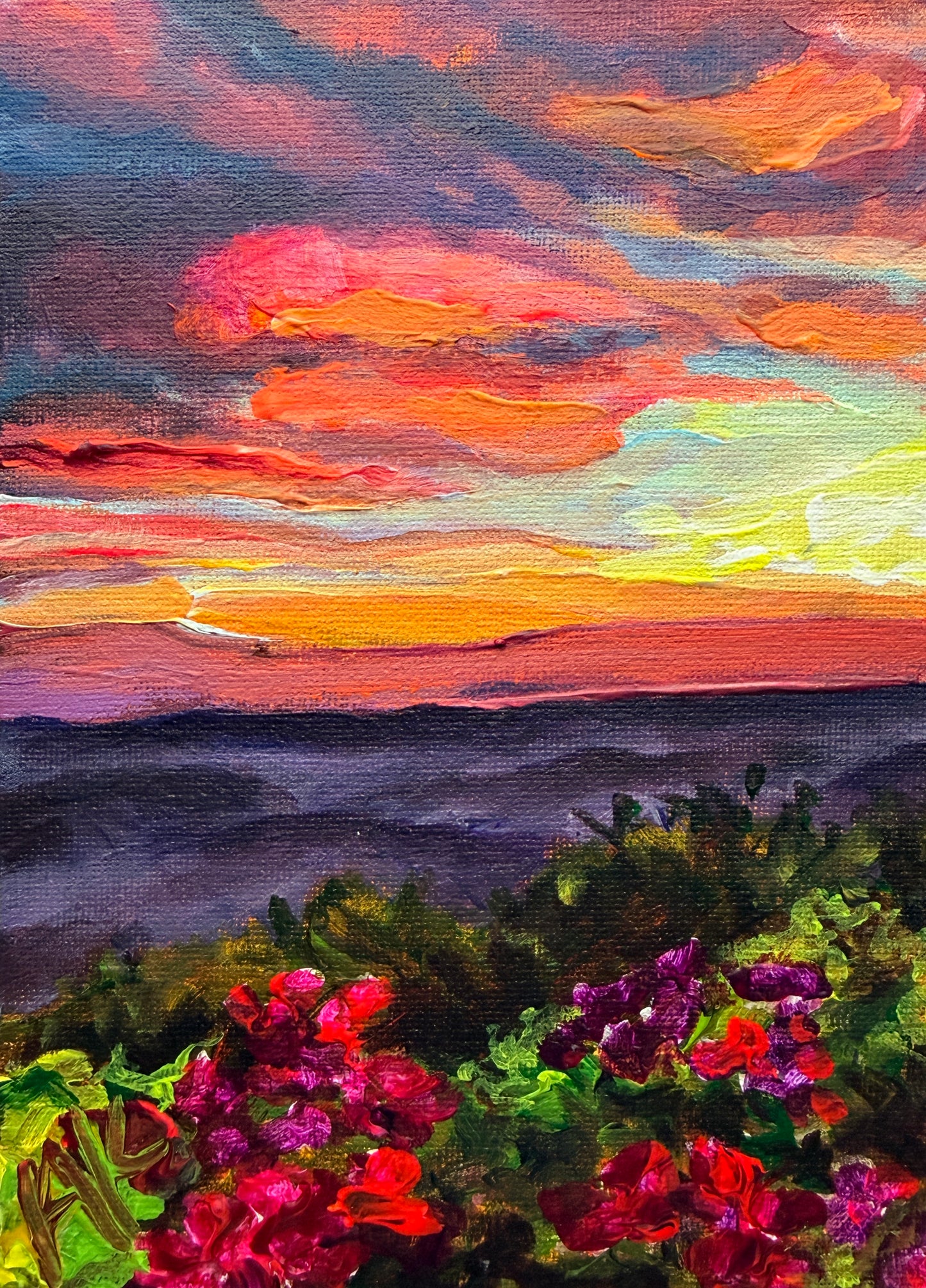 Roan Mountain Study